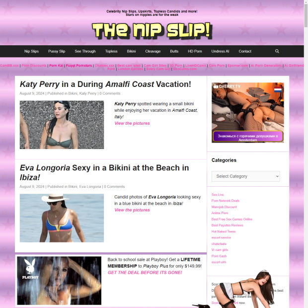 thenipslip.com